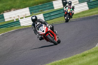 cadwell-no-limits-trackday;cadwell-park;cadwell-park-photographs;cadwell-trackday-photographs;enduro-digital-images;event-digital-images;eventdigitalimages;no-limits-trackdays;peter-wileman-photography;racing-digital-images;trackday-digital-images;trackday-photos